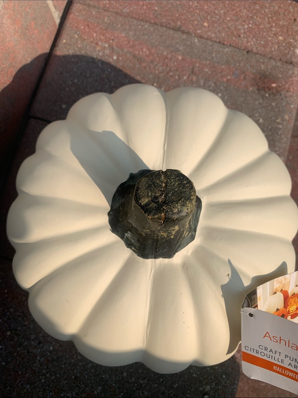 π- Ashland Cream Decorative Pumpkin with Gold Destressed Stem Med Size - Picture 4 of 7